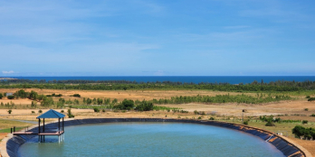 Mua đất cho luôn IPHONE 15 đang hot rần rần