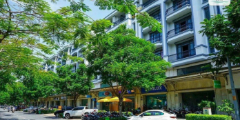 BDS HVL MTKD Nguyễn Thị Nhung Vạn Phúc 7x20m 6 Tầng 31.5 Tỷ 30/09/2023