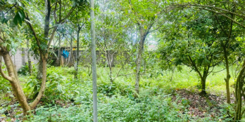 BÁN GẤP LÔ ĐẤT SẴN KHUÔN VIÊN NGHỈ DƯỠNG CÓ DT 912m2 (300m2 ONT) GIÁ RẺ NHẤT NHU