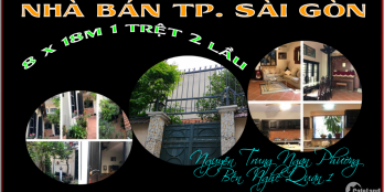 Nhà phố xinh 8 x 18m 1 trệt 2 lầu Nguyễn Trung Ngoạn Q1 TP.HCM