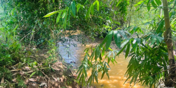 BÁN GẤP LÔ ĐẤT BÁM SUỐI CÓ DT 1600m2 FULL THỔ CƯ GIÁ RẺ BẤT NGỞ CHỈ 1,xtr/m2 ỞLS