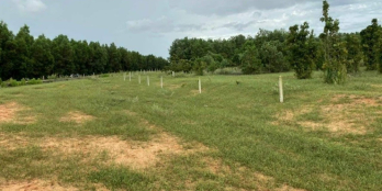 Lô đất MT đường chính chủ Hòa Thắng,  Giá 75k/m2 cách liên huyện đi sân bay 90m.