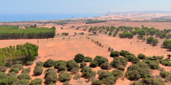 3.277m2 đất trồng cây, view biển, sát bên các khu du lịch lớn.