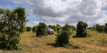 4 sào chỉ 760tr, View đồi và QL1A, sát bên đường lớn quy hoạch và KDC