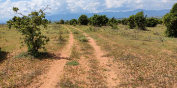 5,442m2 đất vườn, giá 650TR, vị trí đẹp, đường sỏi lớn và điện nước gần đến đất.