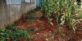 Bán lô đất Mạc đỉnh chi phường 2 Bảo Lộc