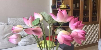 KDC CITYLANG - BIỆT THỰ PHỐ LIỀN KỀ - SỔ ĐẸP VUÔNG VỨC - NGANG 5M. nhỉnh 18ty