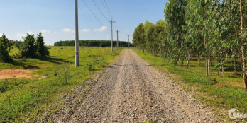 3.260m2 đất xã Hồng Thái, cạnh đường liên huyện 22m - Giá 360 triệu - SHR