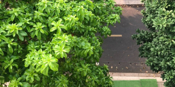 BDS HVL [NC] VIEW SÔNG 5x15M 160M2 SÀN 4PN 3WC CHỈ 8.6 TỶ 24/10/2023