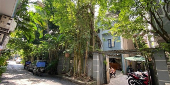 Biệt Thự sân vườn Ba Đình. Hồn Quê giữa lòng Hà Nội. 226m, Mt 11m, 55 Tỷ. Đầu Tư
