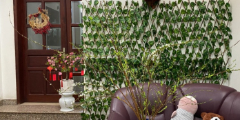 Xuất Cảnh Cần Bán Gấp GIÁ RẺ Nhà MTKD Lê Đại Hành Quận 11 4.1mx27m 4 tấm 17.5 Tỷ