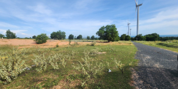 1 sào 2 đất trồng cây, mặt tiền đường điện gió, view trọn Bàu Trắng