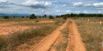 5.300m2 liên xã Hồng Thái giá 430 triệu – mặt tiền 47m -SHR