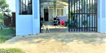 CẦN BÁN GẤP NHÀ HÓC MÔN 6X25 GẦN CHỢ CÓ HĐ THUÊ 5 NĂM GIÁ 850TR