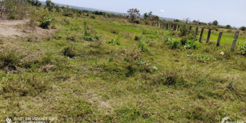 771m2 đất Phan Thanh, xung quanh có nhiều nhà yến.