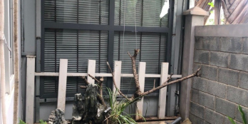 BDS HVL[NC] cho thuê nhà phố Park riverside, Phú Hữu, TP Thủ Đức giá 13tr