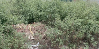 Bán nhanh lô đất gần KCN Vân Trung, Việt Hàn Mi điền MD14