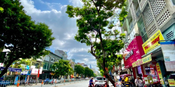 Định cư bán gấp MT Nguyễn Cư Trinh Q1, Nở hậu, Dtsd 425m2, Kế Pullman