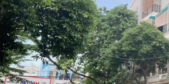 Mặt tiền đường số 75, Phường Tân Phong, Quận 7, 56.5m2, nhỉnh 12 tỷ