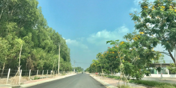 Chính sách ưu đãi giảm trừ đặc biệt chỉ trong tháng 11/2023.