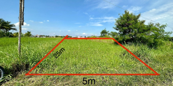 Bán lô đất 850 triệu, Xã Mỹ Hạnh Bắc, sổ có đường