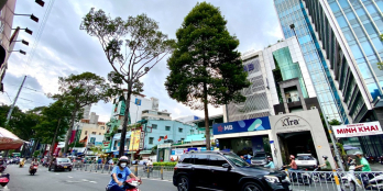 Bán nhà Tôn Thất Tùng Q1, Nở hậu, Hẻm ô tô, Gần Công viên 23/9, Dtsd 120m2