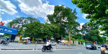 Bán nhà 2 mặt tiền Hoàng Sa Q1, Dòng tiền 1.5tỷ/năm, Dtsd 405m2