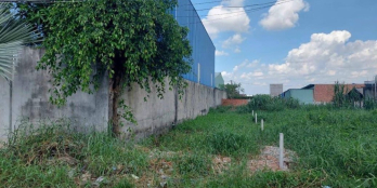 KẸT VỐN BÁN GẤP ĐẤT MẶT TIỀN ĐƯỜNG MAI THỊ BUỘI CỦ CHI 150M2 510TR