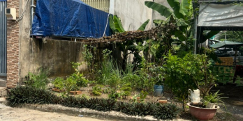 Cần bán gấp 60m2 đất xây nhà khu dân cư bình chiểu thủ đức giá 2,8 tỷ