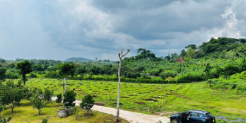 Farm nông trại EAKAO giá rẻ bất ngờ đẹp như tranh thủy mặc tại BMT