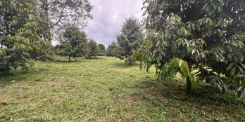 Cắt lổ caafb bán gấp lô đất vườn tại Lộc Nga, Bảo Lộc, Lâm Đồng