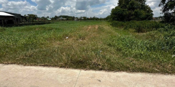 Bán đất mặt tiền đường nhựa chợ gà, vị trí đẹp kinh doanh