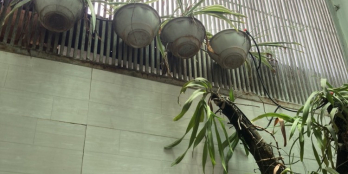 GIÁ TỐT- 6.1 TỶ BÁN NHÀ HẺM 6M LÊ VĂN KHƯƠNG P. HIỆP THÀNH QUẬN 12