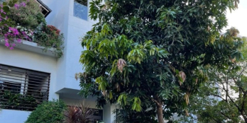 BDS HVL [NC] Cho Thuê Villa Khu 280 Lương Đình Của 7x20m 4PN 154m2