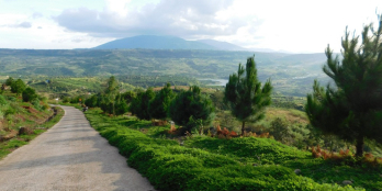 Chính chủ cần bán đất 1000m2 mỗi lô view sông đồng nai mặt tiền đường bê tông