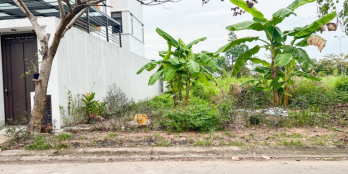 Đất thổ cư xây biệt thự nhà vườn 460m2 đường số 50, mặt sau chợ Thủ Đức