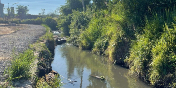 Đất Đồng Nai chính chủ sổ sẵn 84m2 gần suối thoáng mát giá 385 triệu