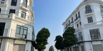 Bán căn biệt thự Song Lập, Căn Góc Sao Biển dự án Vinhomes Ocean Park