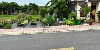 BÁN ĐẤT HÓC MÔN GẦN THỊ TRẤN 6X15 MT NHỰA 12M GIÁ 520TR SHR CHÍNH CHỦ