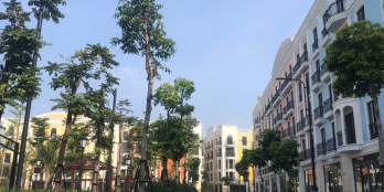 Cần chuyển nhượng gấp Shophouse Quảng Trường Sun Group Sầm Sơn