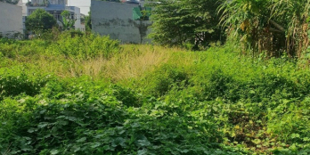 BDS HVL Đất đường 197 Hoàng Hữu Nam Q9 04/01/2024