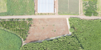 Chỉ cần trả trước 300 triệu, ngân hàng hỗ trợ sỡ hữu ngay lô đất nền KCN Đất Đỏ