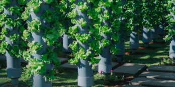 Làng nghỉ dưỡng ven suối, sổ hồng riêng, 968 triệu/1000m2 view săn mây