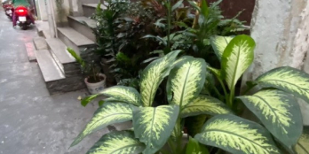 Xe hơi đổ cổng Trần Quang Khải, Q1 – 40m2 – 3 tầng, 6PN, giá 5,7 tỉ