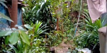 BÁN NHÀ LẠC LONG QUÂN TÂN BÌNH 202M2, HẺM 8M THÔNG, GẤP GIẢM 4TỶ, CHƯA QUA ĐT