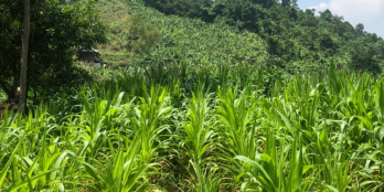 CHÍNH CHỦ CẦN BÁN ĐẤT DIỆN TÍCH 2.202M2 CHÂU ĐỨC - BÀ RỊA VŨNG TÀU