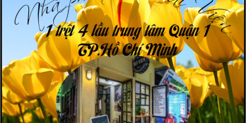 Bán nhanh rẻ nhà phố xinh 1 trệt 5 lầu Bùi Viện Q1 TP.HCM chỉ 8.6 tỷ