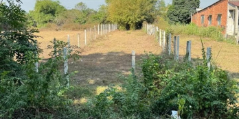 RẤT THẬT!! BÁN GẤP LÔ ĐẤT TRẢNG BÀNG 10X50 MẶT TIỀN NHỰA 12M GIÁ 700TR