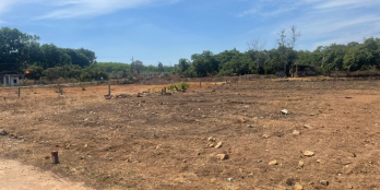 Chỉ Có 320 Triệu Sở Hữu Ngay Lô Đất Thổ Hiện Hữu 200m2 Thanh Lương , Bình Phước