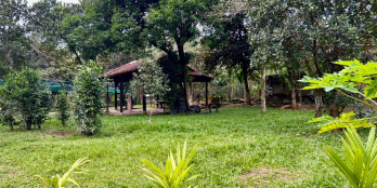 Cần bán lô đất vườn rộng 3hecta, có 400m2 đất ở, giáp sông, mặt tiền đường,vinúi